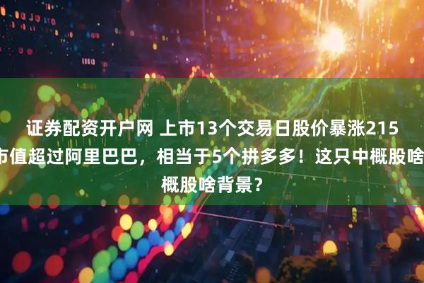 证券配资开户网 上市13个交易日股价暴涨215倍，市值超过阿里巴巴，相当于5个拼多多！这只中概股啥背景？
