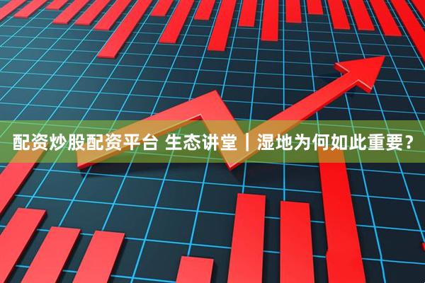 配资炒股配资平台 生态讲堂｜湿地为何如此重要？
